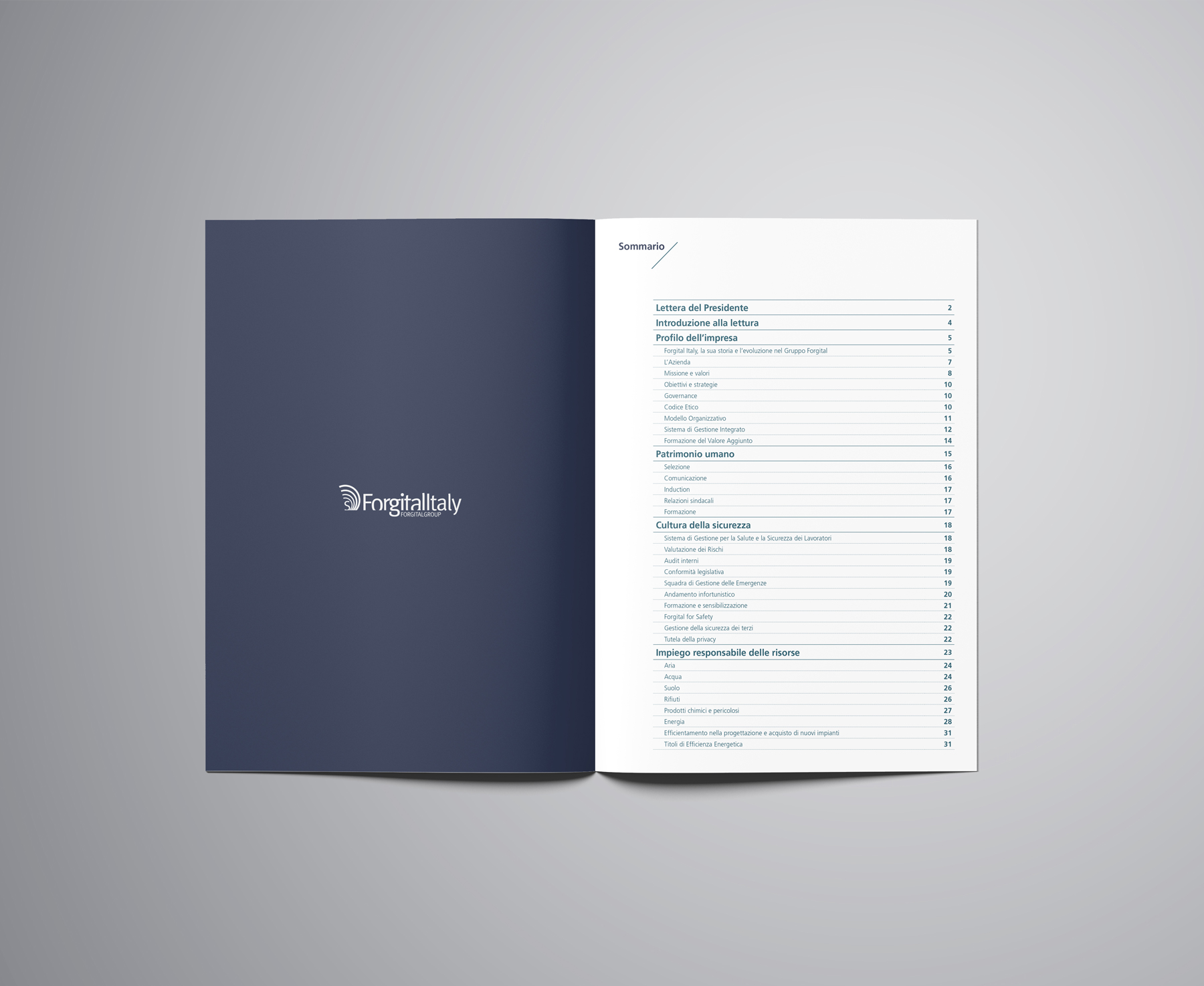 graphic design brochure bilancio Forgital