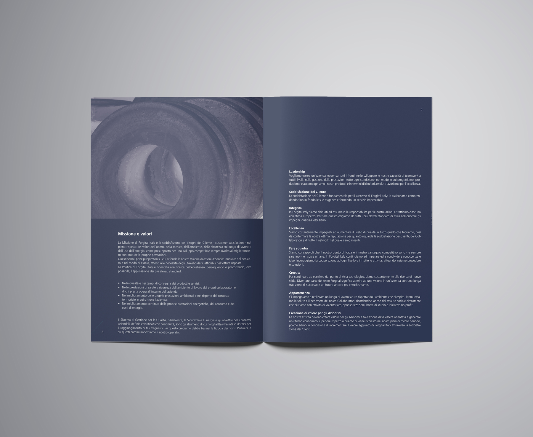 graphic design brochure bilancio Forgital