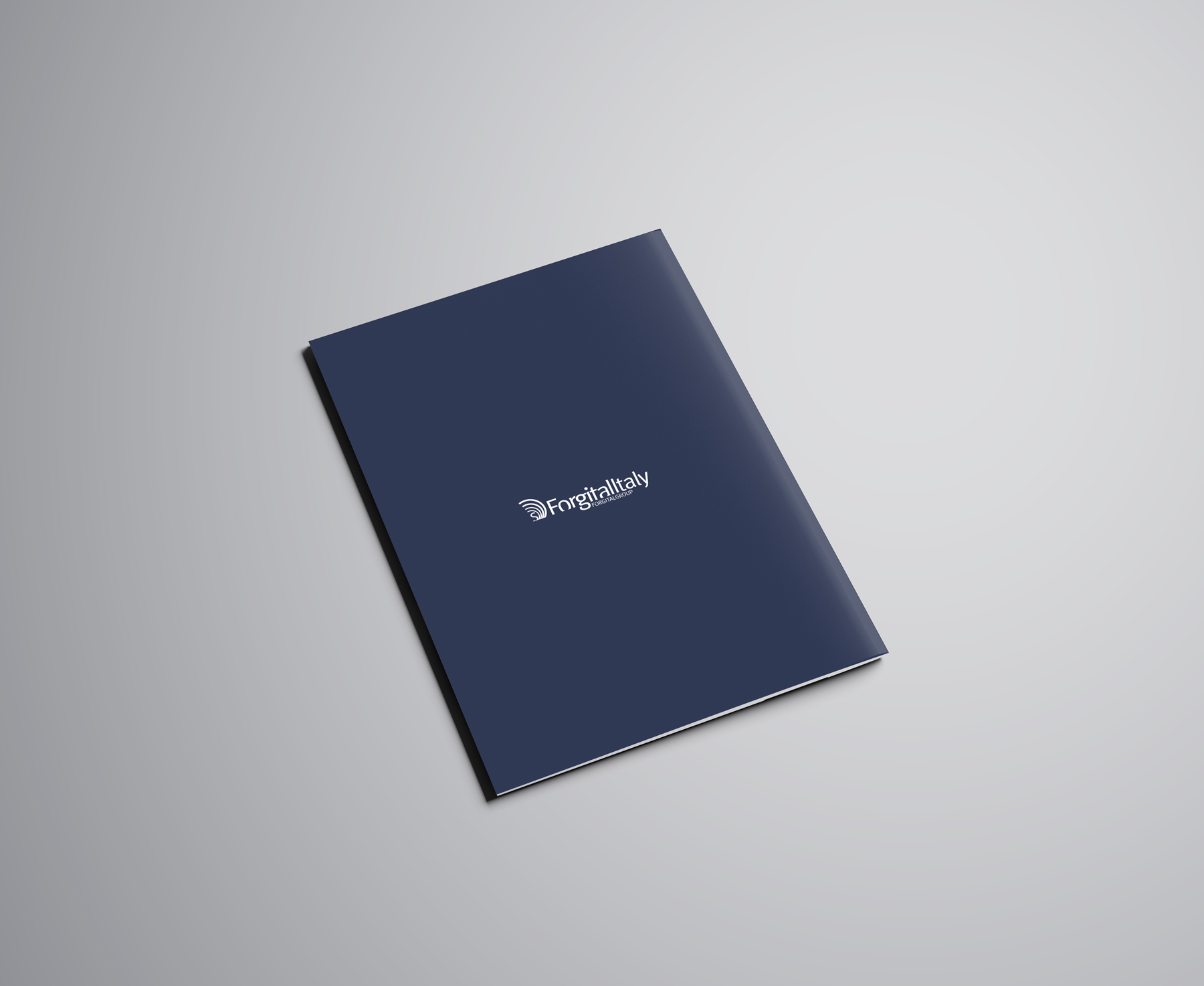 graphic design brochure bilancio Forgital