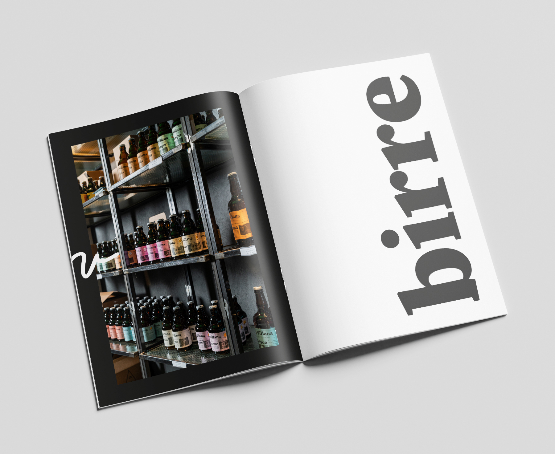 graphic design catalogo La Villana