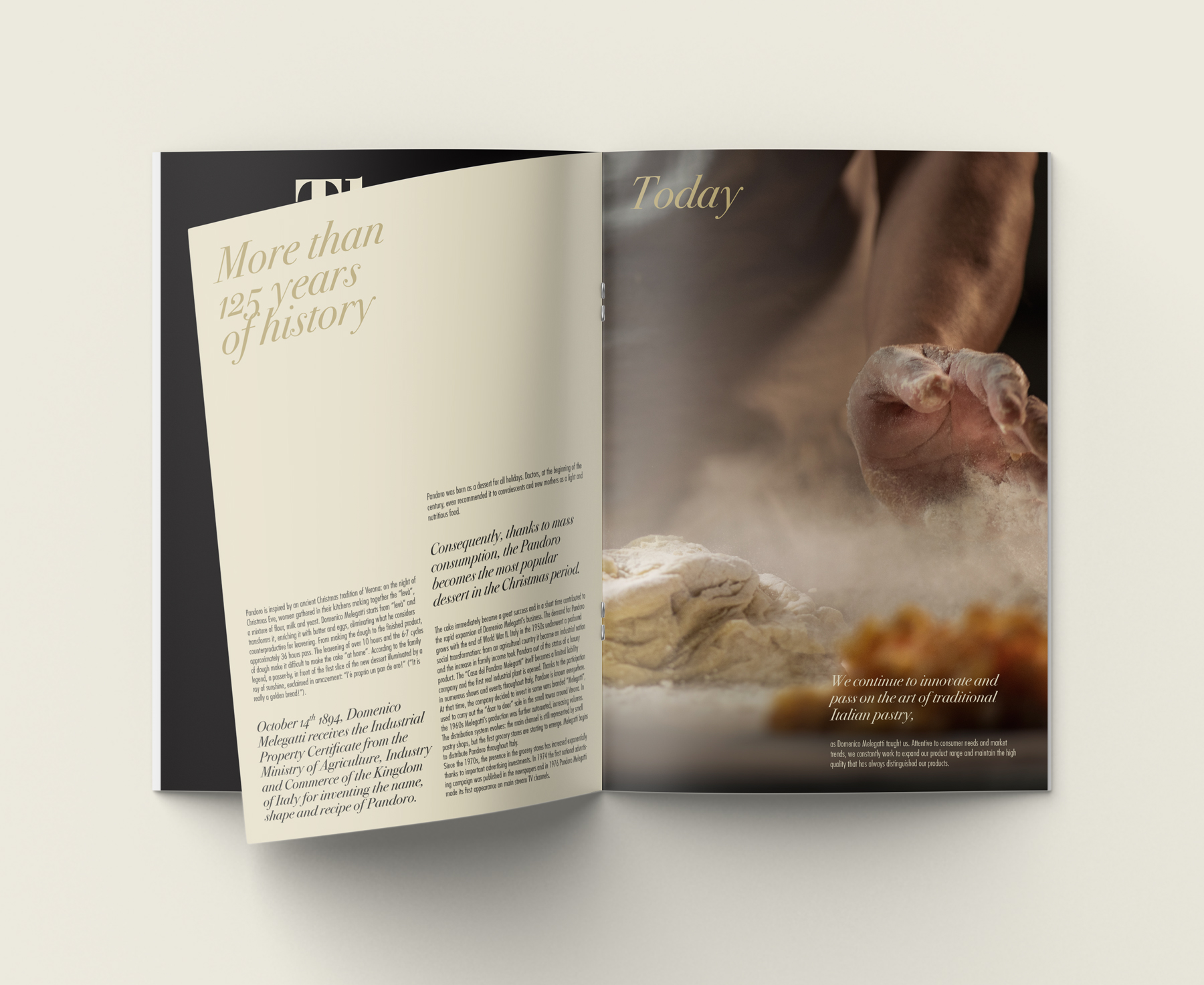 graphic design catalogo Melegatti